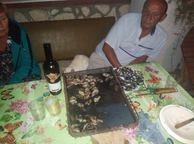 IMG_20180821_202511.jpg