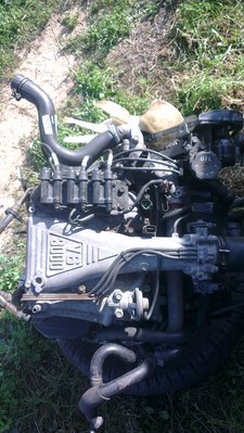 IMAG0099.jpg
