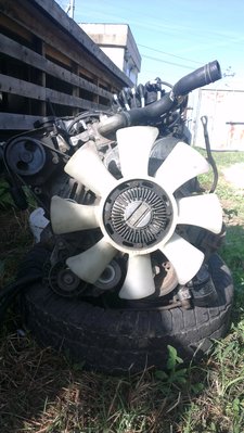 IMAG0096.jpg
