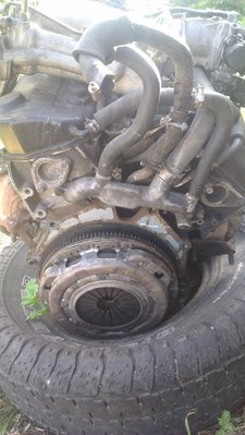 IMAG0098.jpg