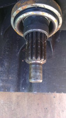 IMAG0092.jpg
