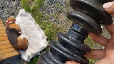 20180812_171757.jpg