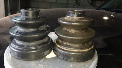 20180812_172004.jpg