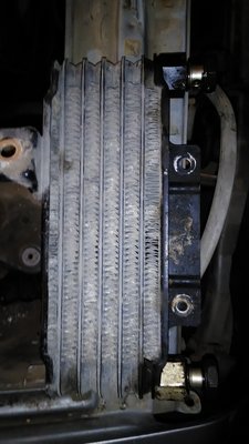 P_20180913_192646.jpg