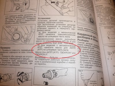 P1090058.JPG