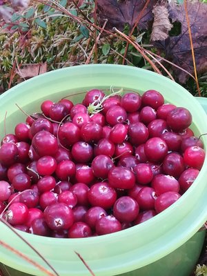 IMG-20180922-WA0017.jpg