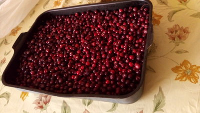P_20180922_151553.jpg