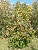 rps20180922_204528.jpg