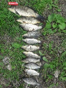 rps20180922_223543.jpg