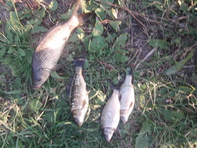 20180920_180130.jpg