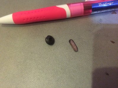image1.jpeg