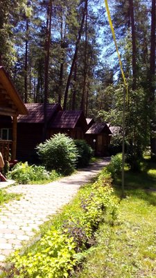 image (5).jpg