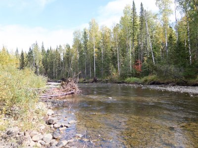 IMG_3585.jpg