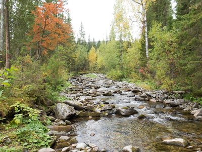 IMG_3682.jpg