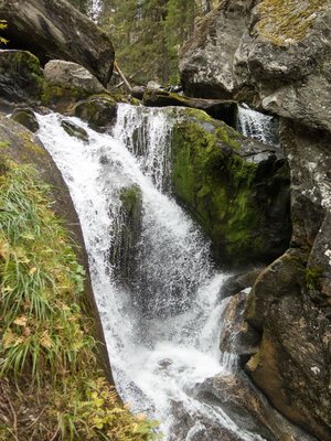IMG_3691.jpg