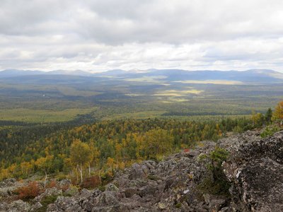 IMG_3731.jpg