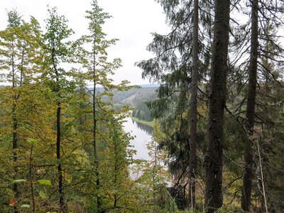 IMG_3765.jpg
