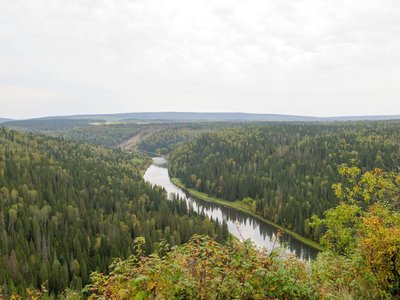 IMG_3772.jpg