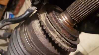 20180928_191059.jpg
