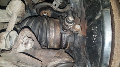 20180928_203543.jpg