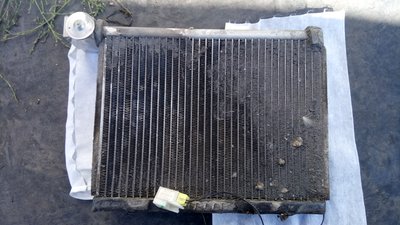 DSC_0126.JPG