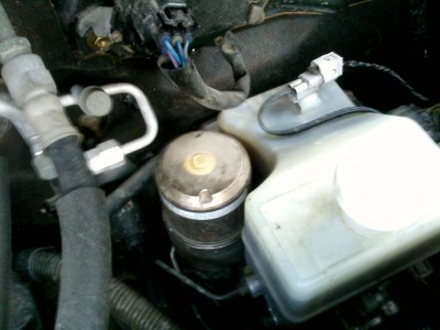 IMG0241A.jpg