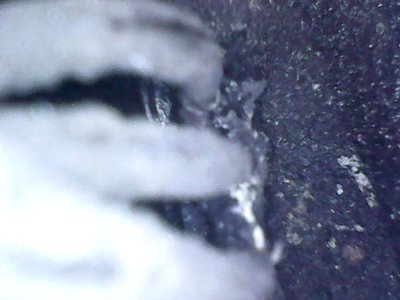 Snapshot000001.jpg