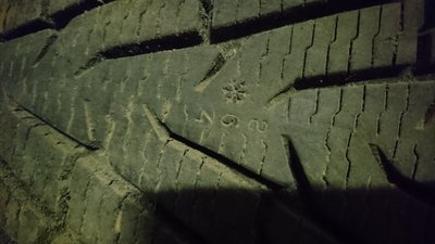 DSC_0808.JPG