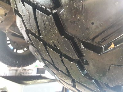 20181003_160648.jpg