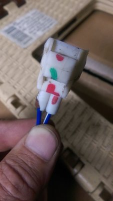 IMAG1603.jpg