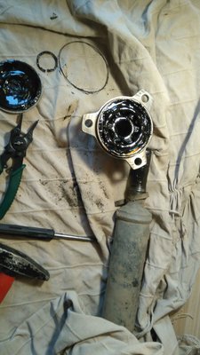 IMG-20181021-WA0001.jpg
