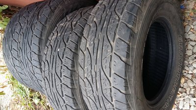 20181021_160216.jpg