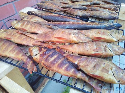 IMG_20180706_170100.jpg