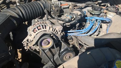 WP_20180912_10_34_52_Pro.jpg