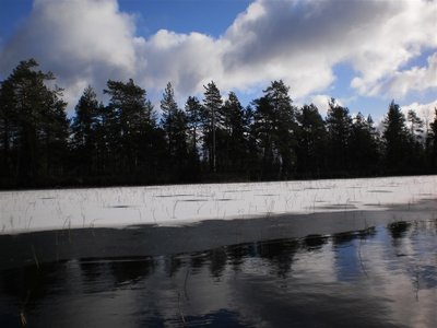 PA280020.jpg