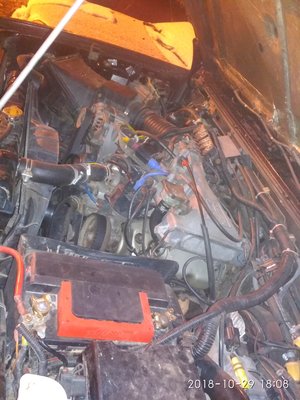IMG_20181029_180803[1].jpg