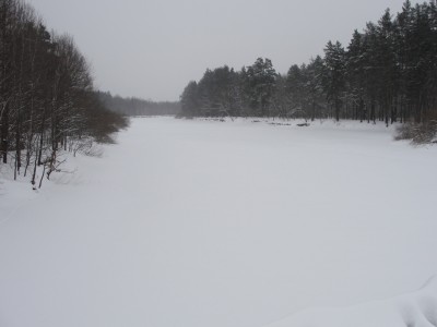 DSC00787.JPG