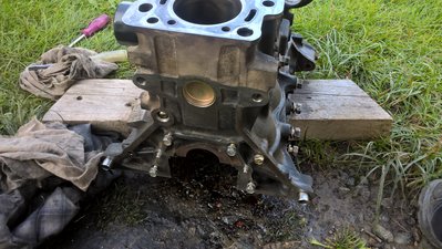 WP_20180819_18_05_55_Pro.jpg