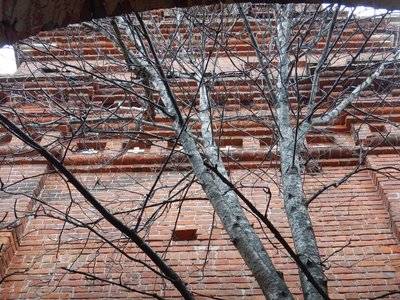DSCN2374_tn.jpg