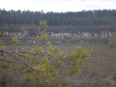DSCN2354_tn.jpg