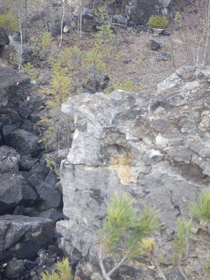 DSCN2353_tn.jpg