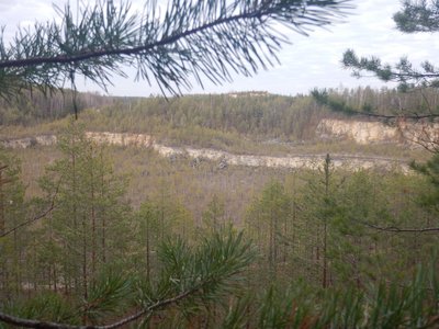 DSCN2346_tn.jpg