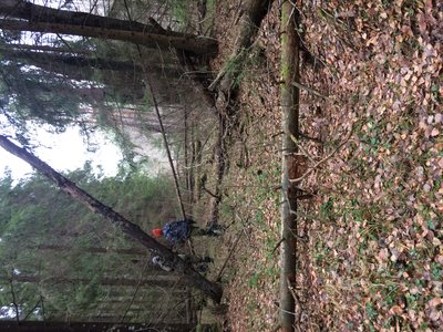 IMG_0564.JPG