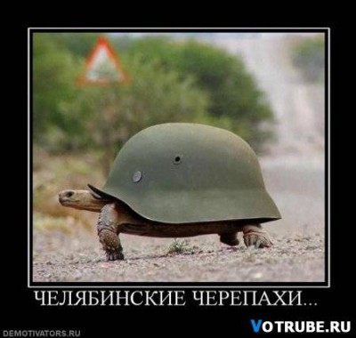 1277136475_19684_avtomobil-vozit-teloa-bajk-d.jpg