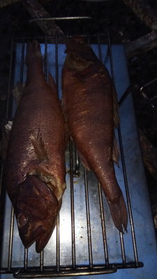 IMG-20181110-WA0022.jpeg