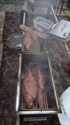 IMG-20181110-WA0016.jpeg