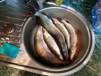 IMG-20181110-WA0041.jpg