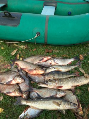 IMG_20181017_152412.jpg