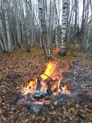IMG_20181025_162916.jpg