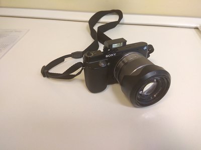 IMG_2018-11-21_131239.jpg
